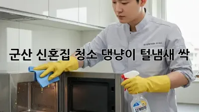 군산 신혼집 청소🧹 댕냥이 털&냄새 싹! ✨